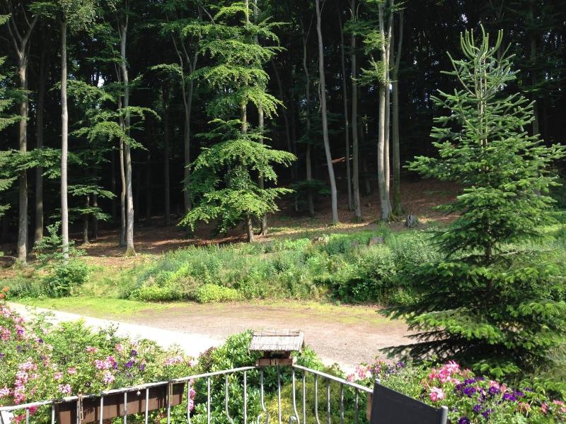 Waldhotel Porta Westfalica Garni - Genel