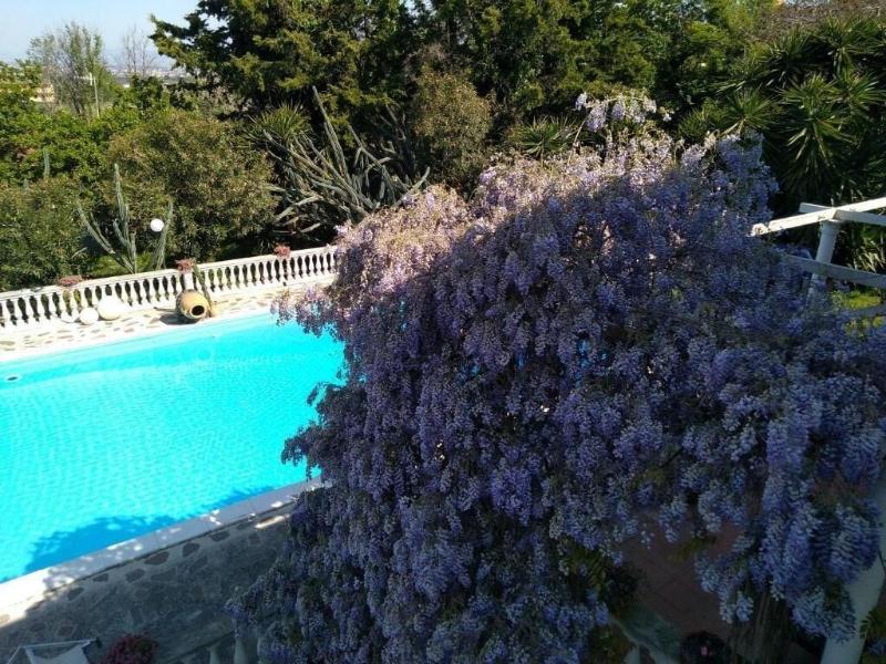 b&b la marchesa - Aktivite