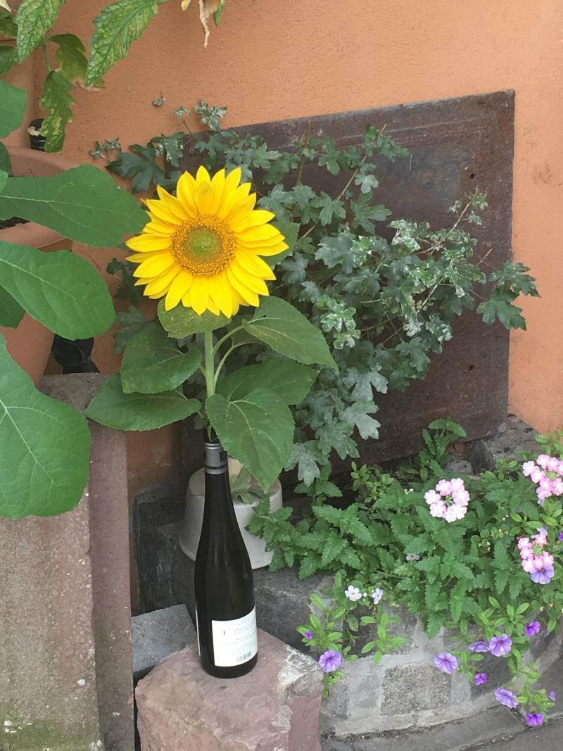 Hotel Gasthof Gruener Wald - Genel