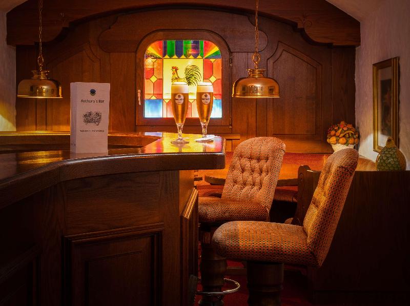 Parkhotel Am Taunus - Bar