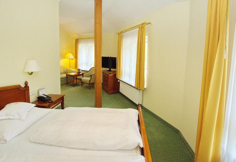 Parkhotel Am Taunus - Oda