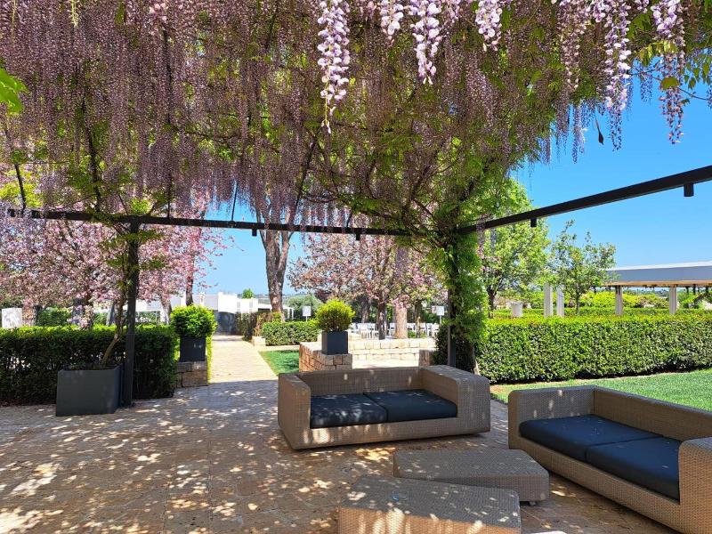Relais Il Santissimo - Genel
