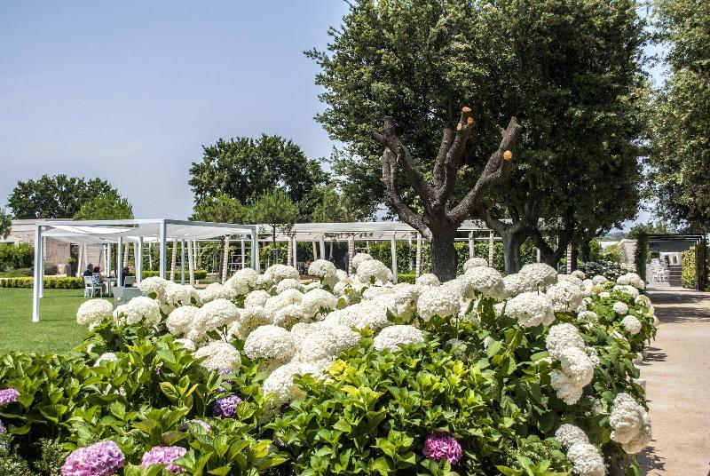 Relais Il Santissimo - Genel