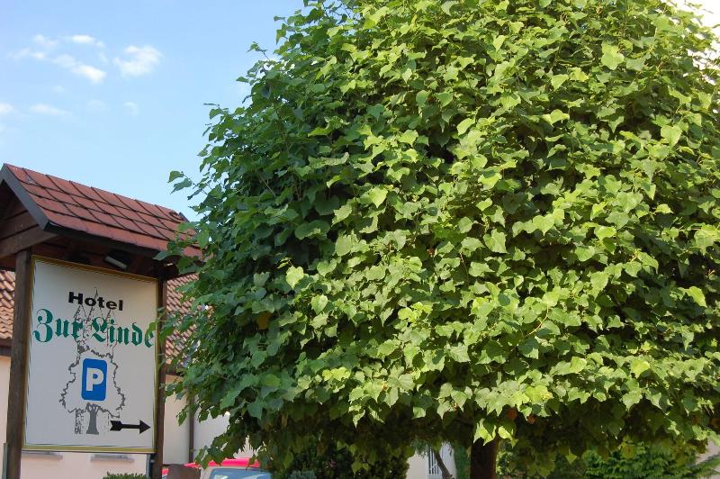 Hotel Zur Linde - Teras