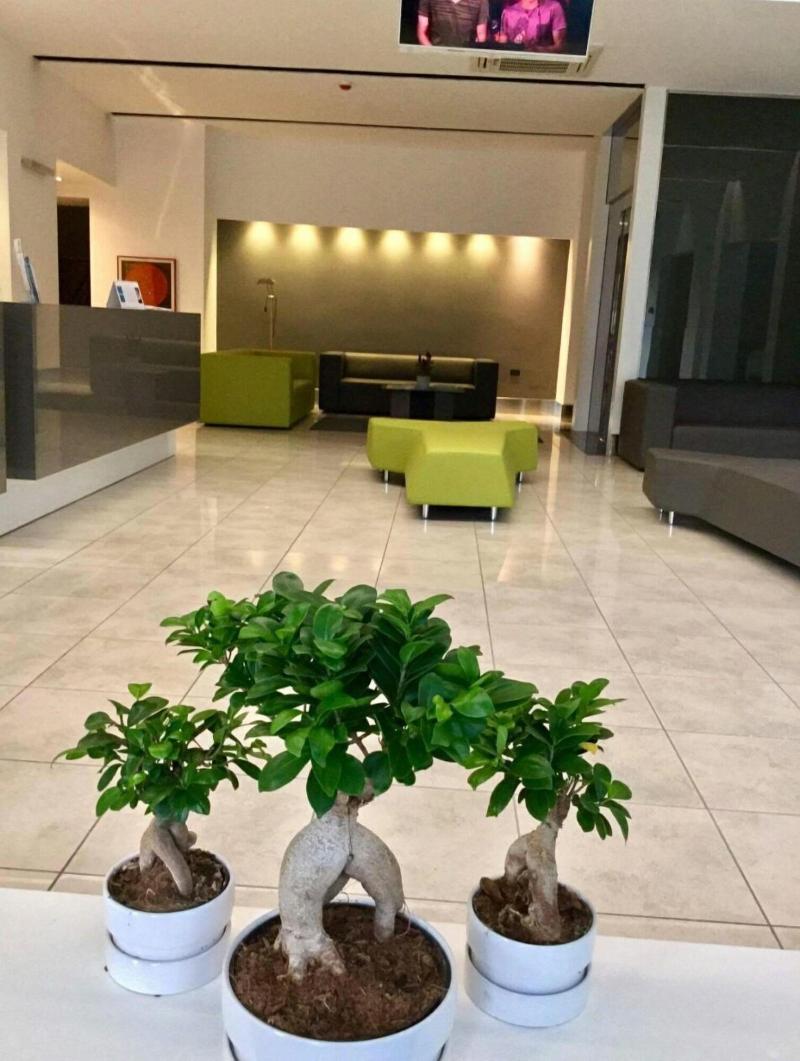 Hotel Artemide - Lobi