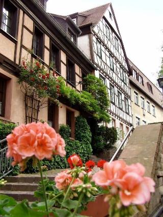 Bacchus Hotel fotoÄŸrafÄ±