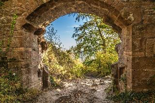 Hotel Zur Pfalz fotoÄŸrafÄ±