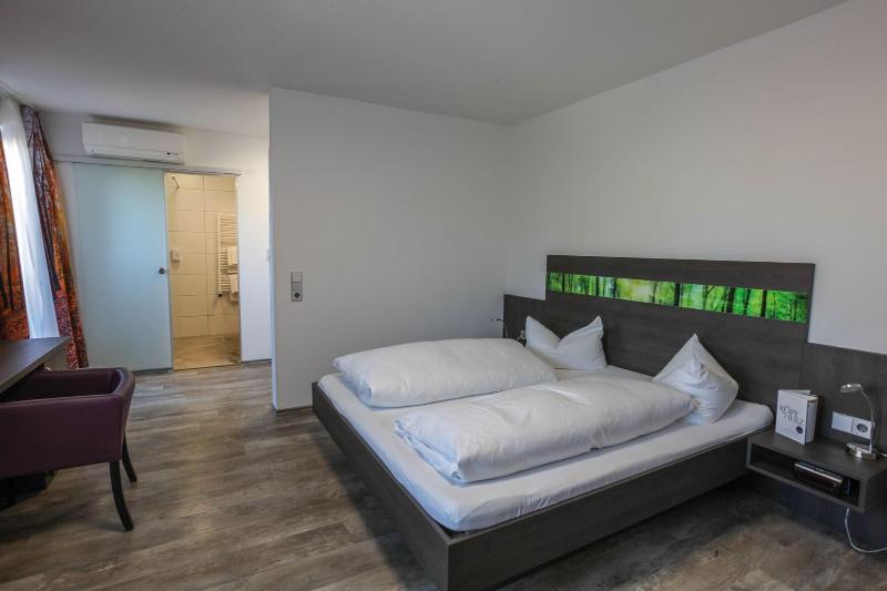 Hotel Zur Pfalz - Oda
