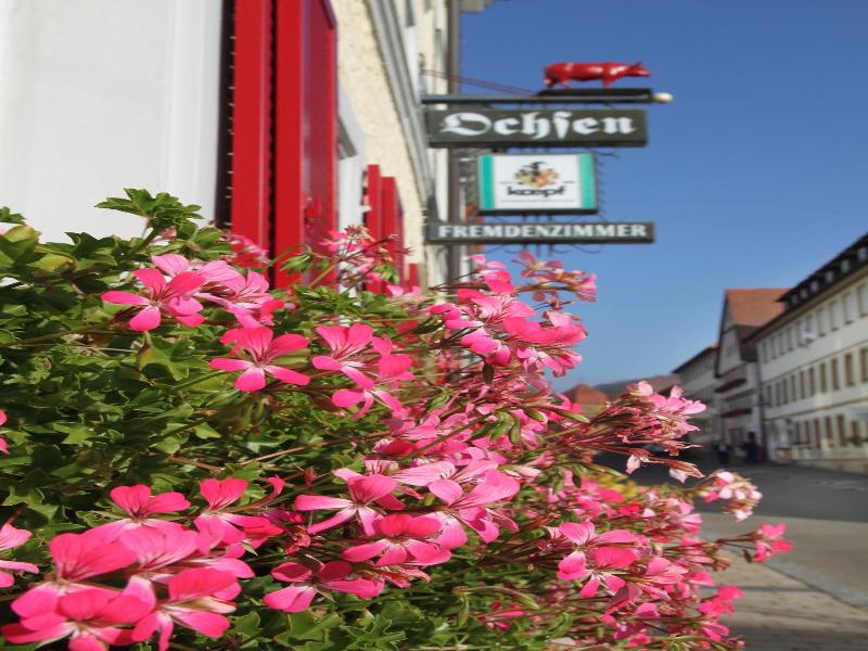 Hotel Roter Ochsen Lauchheim - Genel