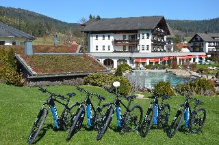 Hotel Engel Obertal fotoÄŸrafÄ±