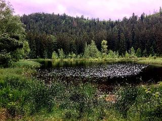 Hotel Engel Obertal fotoÄŸrafÄ±