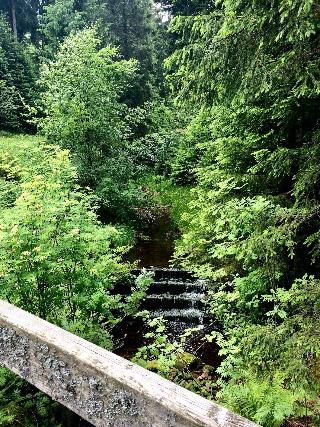 Hotel Engel Obertal fotoÄŸrafÄ±
