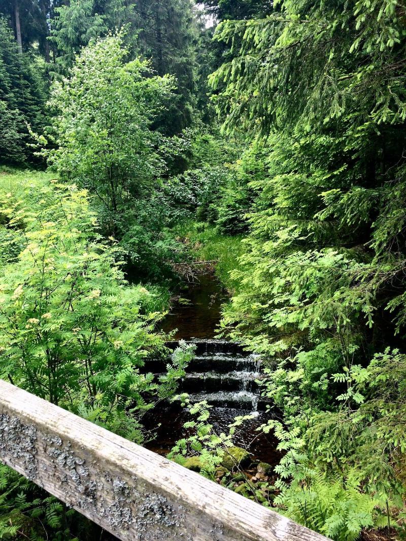 Hotel Engel Obertal - Aktivite