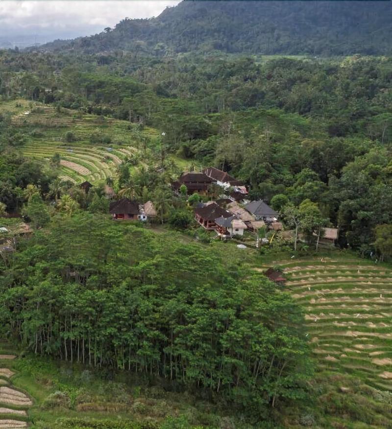 Subak Tabola Villa - Genel