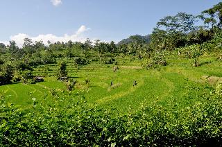 Subak Tabola Villa fotoÄŸrafÄ±