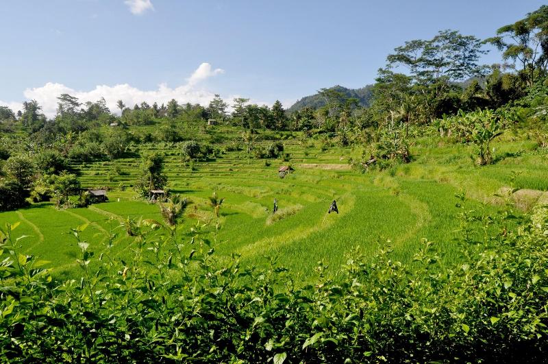 Subak Tabola Villa - Genel