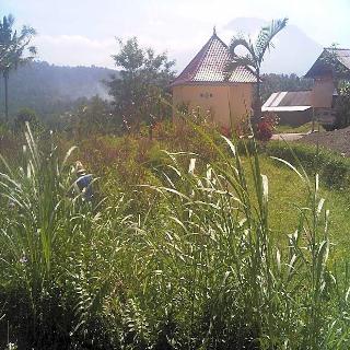 Subak Tabola Villa fotoÄŸrafÄ±