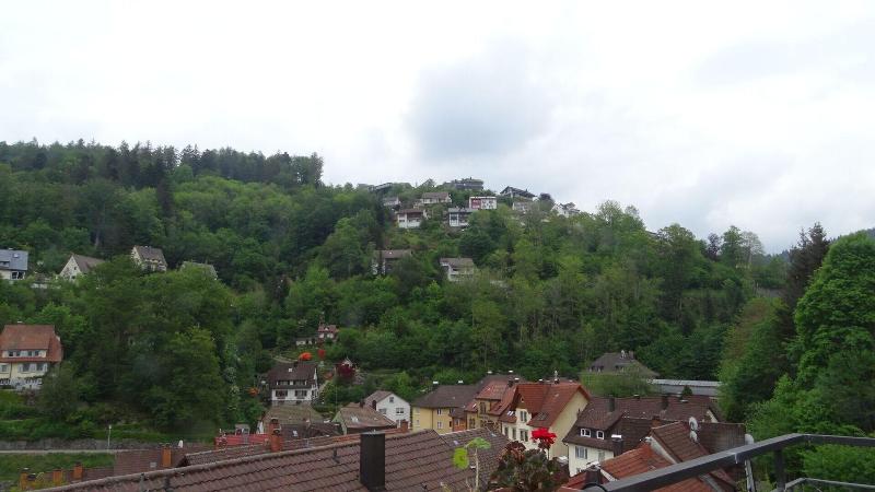 Hotel-Restaurant Ketterer am Kurgarten - Oda