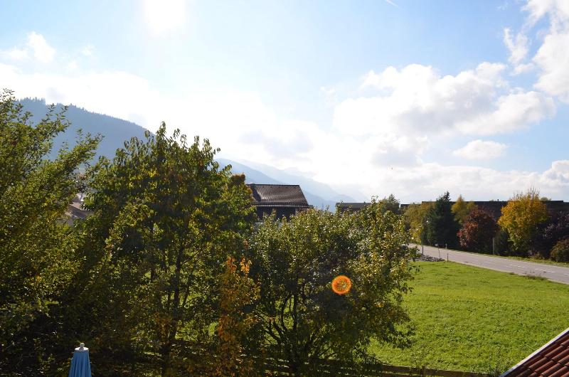 Alpchalet Schwanstein - Aktivite