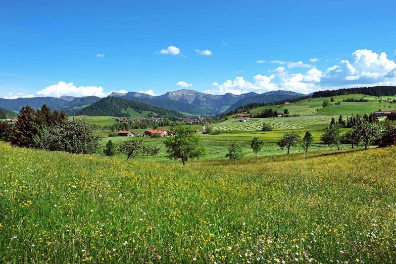 Allgäu Sonne - Genel