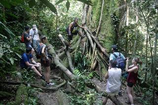Indra Valley Inn Bukit Lawang fotoÄŸrafÄ±