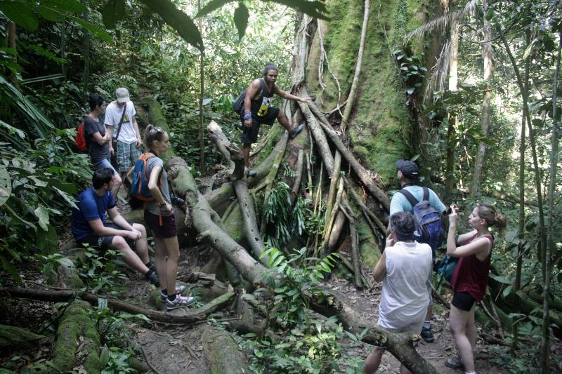 Indra Valley Inn Bukit Lawang - Aktivite