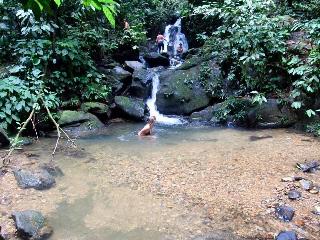 Indra Valley Inn Bukit Lawang fotoÄŸrafÄ±