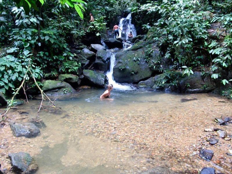 Indra Valley Inn Bukit Lawang - Aktivite