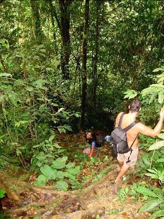 Indra Valley Inn Bukit Lawang fotoÄŸrafÄ±