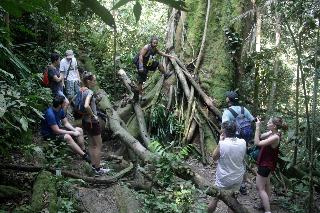 Indra Valley Inn Bukit Lawang fotoÄŸrafÄ±