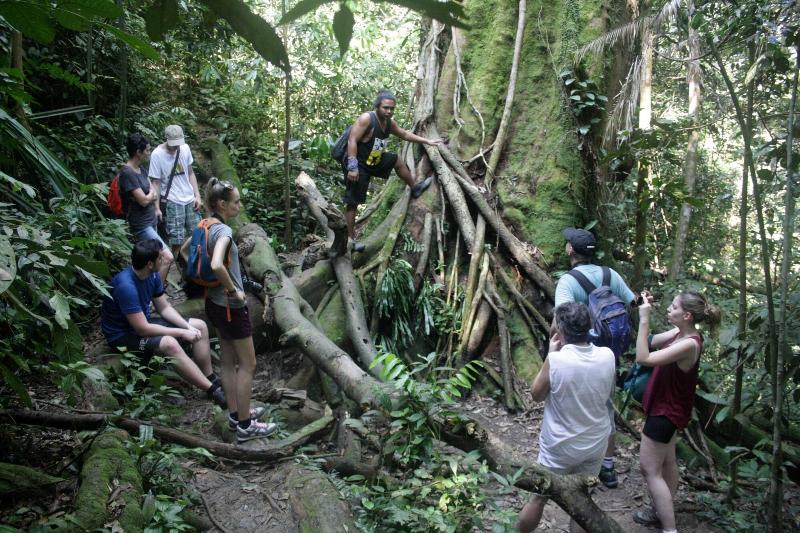 Indra Valley Inn Bukit Lawang - Aktivite