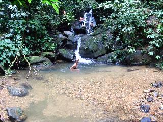 Indra Valley Inn Bukit Lawang fotoÄŸrafÄ±