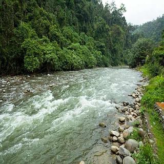 Indra Valley Inn Bukit Lawang fotoÄŸrafÄ±
