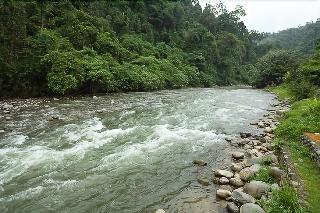 Indra Valley Inn Bukit Lawang fotoÄŸrafÄ±