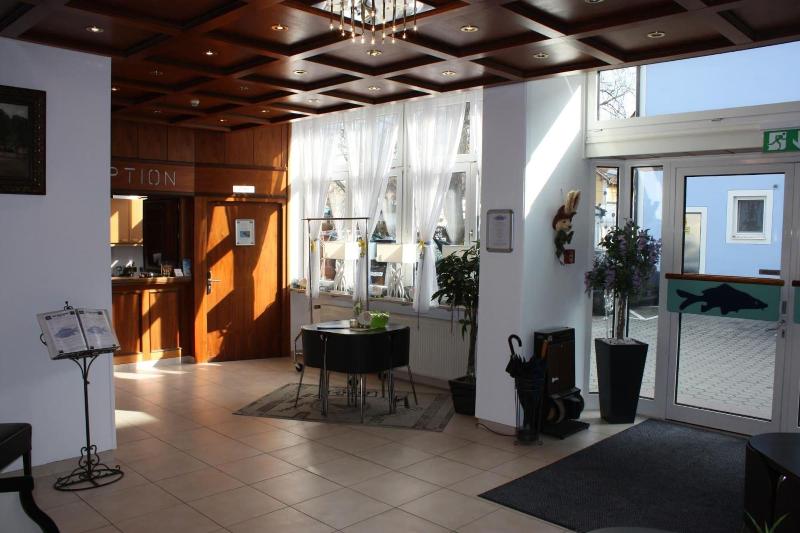Hotel Blauer Karpfen - Lobi