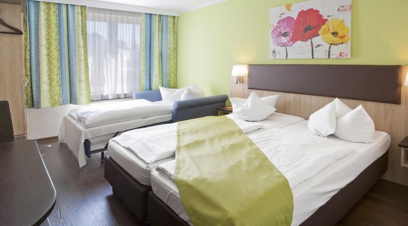Hotel Blauer Karpfen - Oda