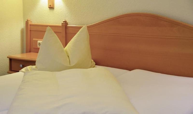 Hotel-Gasthof Am Forsthof - Oda