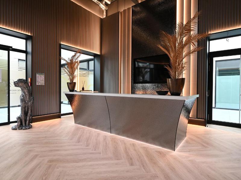 Meiser Design Hotel - Toplantı