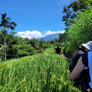 Les Rizieres Lombok fotoÄŸrafÄ±