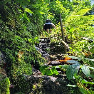 Les Rizieres Lombok fotoÄŸrafÄ±