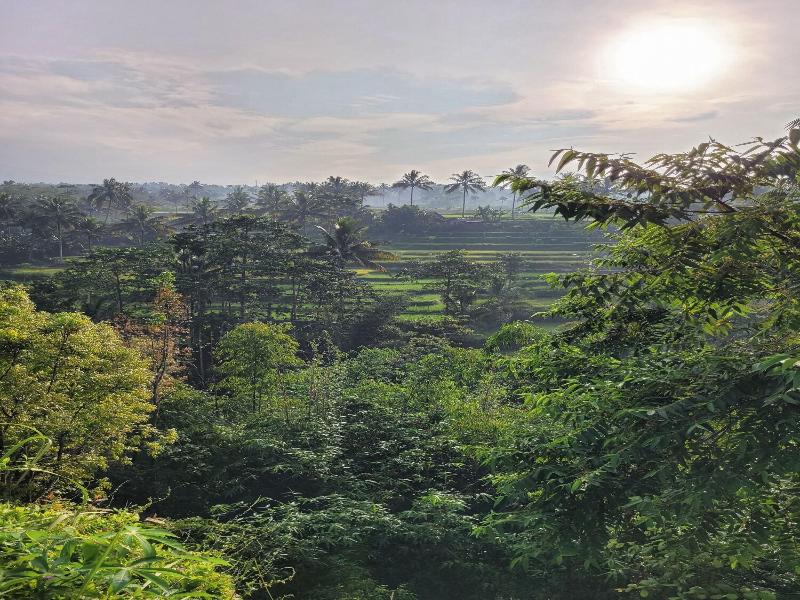 Les Rizieres Lombok - Aktivite