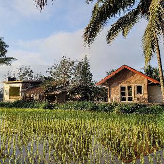 Les Rizieres Lombok fotoÄŸrafÄ±