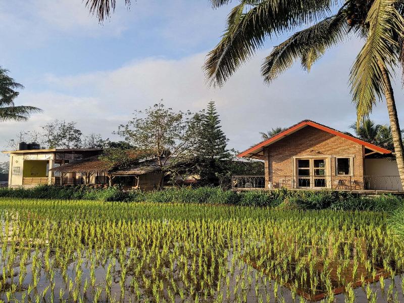 Les Rizieres Lombok - Genel