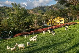 Phukaew Resort & Adventure Park fotoÄŸrafÄ±
