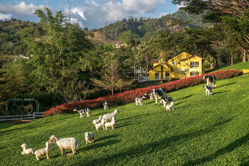 Phukaew Resort & Adventure Park - Genel