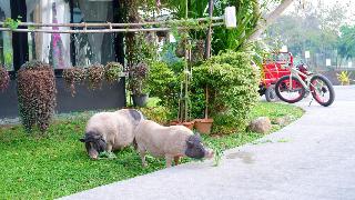 Natural Park Resort De Wangthong fotoÄŸrafÄ±