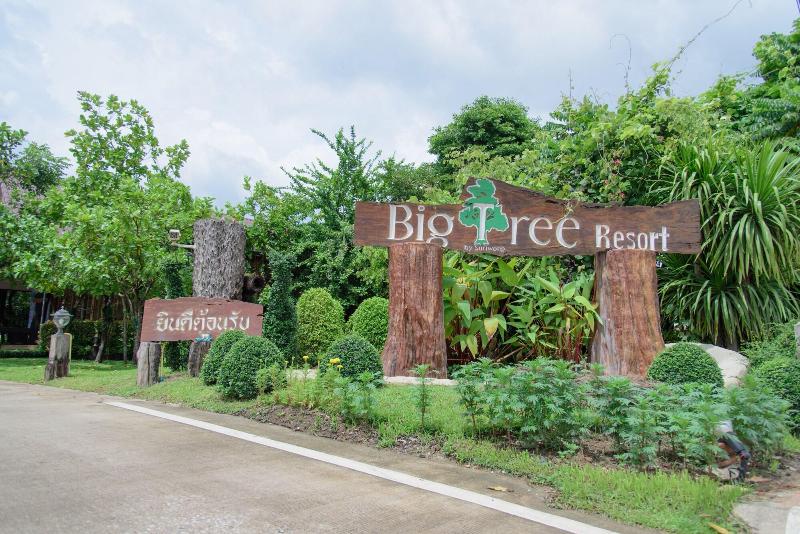 Big Tree Resort - Genel