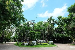 Big Tree Resort fotoÄŸrafÄ±