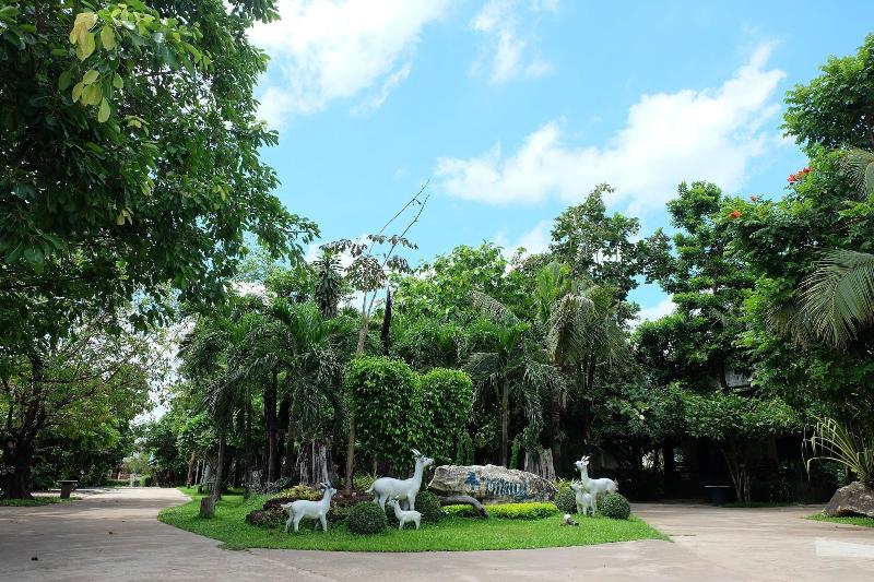 Big Tree Resort - Genel