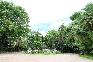 Big Tree Resort fotoÄŸrafÄ±